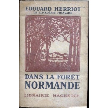 Dans la forêt Normande