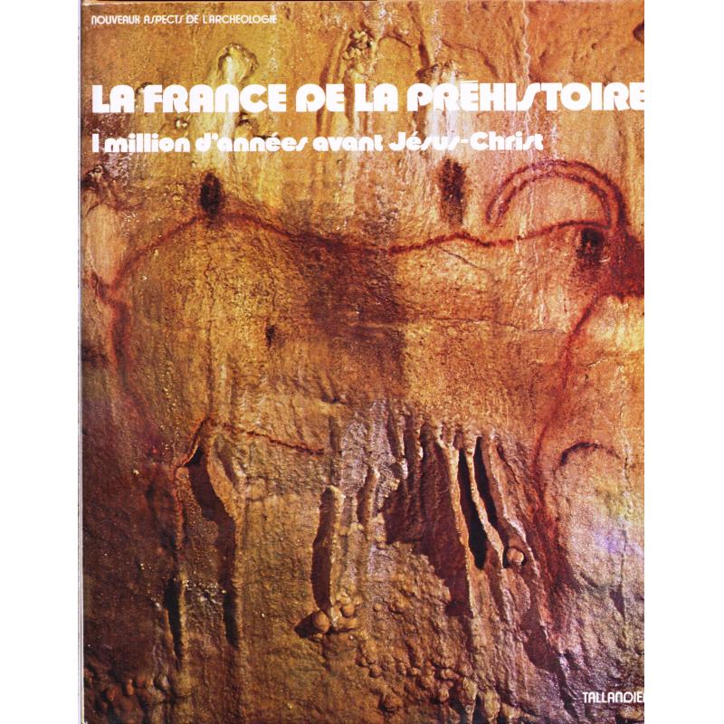 La France de la Préhistoire 1 million d'années avant Jésus-Christ