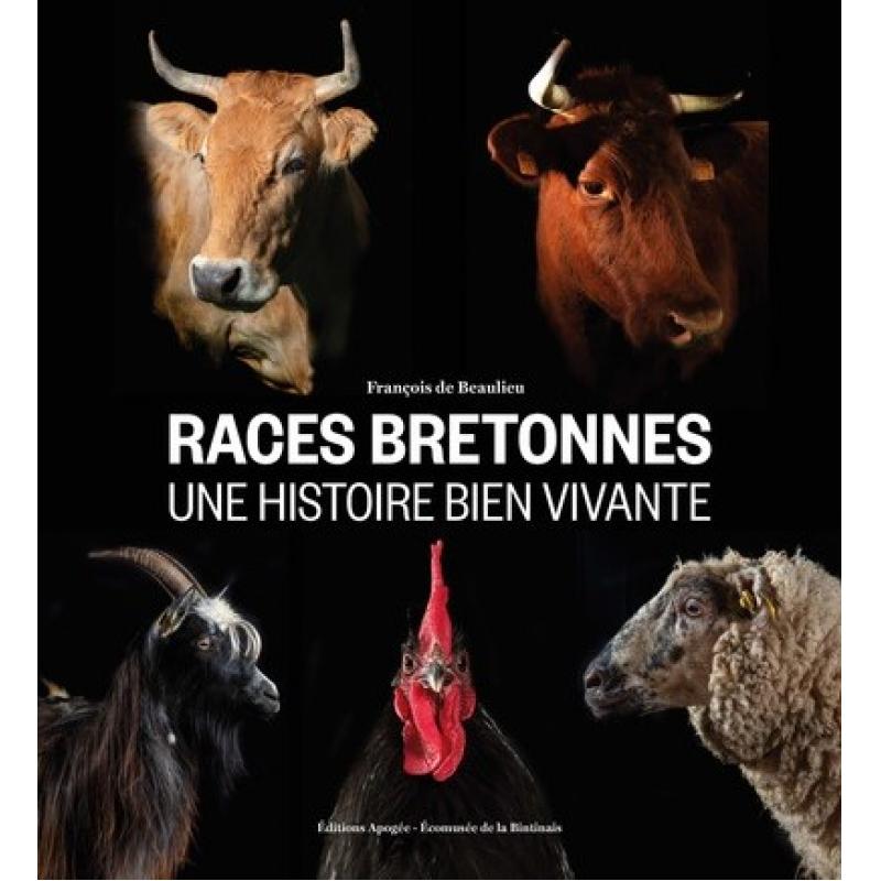  Les races bretonnes, une histoire bien vivante